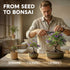 5X AVERGO Bonsai Tree Kit Classic - Unique Japanese Bonzai Trees | Complete Indoor Bonsai Starter Kits for Growing
