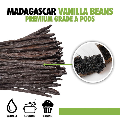 1oz Madagascar Organic Vanilla Beans Gourmet Grade A, Certified USDA Organic 6"-7.5" by FITNCLEAN VANILLA for Cooking