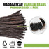 25 Organic Madagascar Vanilla Beans Grade A for Extract, Cooking and Baking by FITNCLEAN VANILLA| Certified USDA