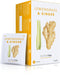 Nutra Tea - Lemongrass & Ginger Tea, 20 Tea Bags, Herbal Tea