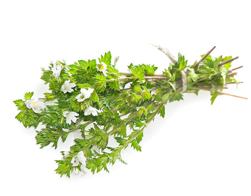 (100g) Health Embassy Eyebright Herb | Euphrasia officinalis L | Herbal Tea