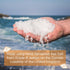 Cornish Sea Salt Really Garlicky Seasoning, 1.9 oz Resealable Tub