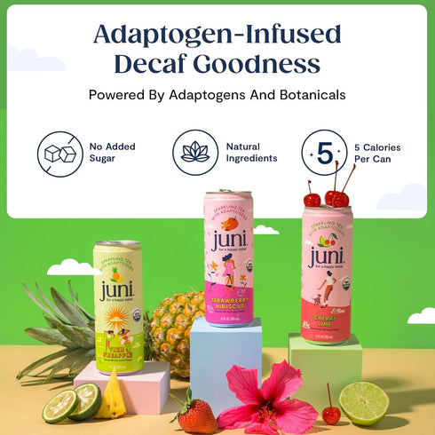 12 Oz Juni Sparkling Adaptogen Drink with Ashwagandha, Lions Mane & Reishi Mushrooms, Decaffeinated, Strawberry