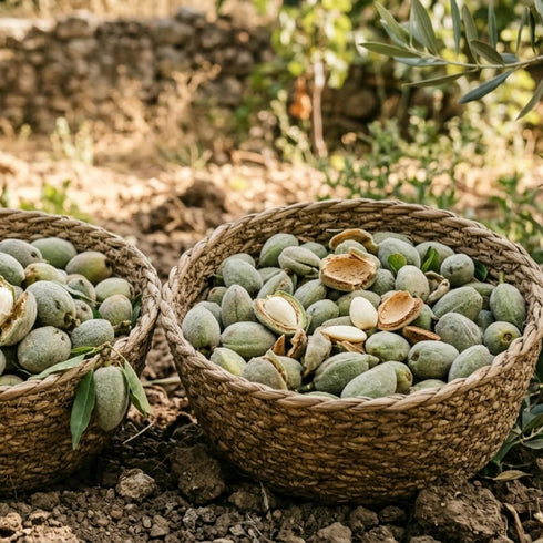 Snack-1LBS Fresh Second Phase Green Almonds Crack & Eat Inner Almond Only California Seasonal Harvest Crunchy Fresh