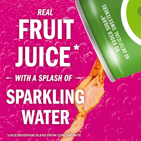 8.4 OZ, 24 IZZE Sparkling Water Juice Beverage Blend, Apple, No Sugar Added, FL Cans