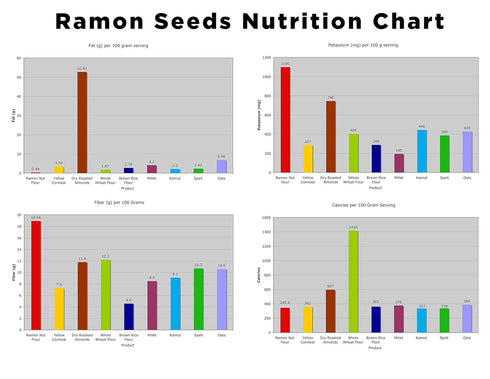 1 Worldwide Botanicals Organic Ramn Seed Flour AKA Capomo, Ojoche, Maya Nut, Bread Nut, Mojo, Masica - Gluten-Free