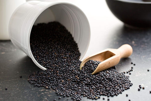 1 Food to Live Organic Black Lentils, Pound Non-GMO, Whole Dry Pulses, Raw, Sproutable, Kosher, Vegan, Bulk Legumes