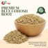 (2 NY Spice Shop Dried Blue Cohosh Root - Cut and Sifted Caulophyllum Thalictroides - Wildcrafted Herbal Root - Raw