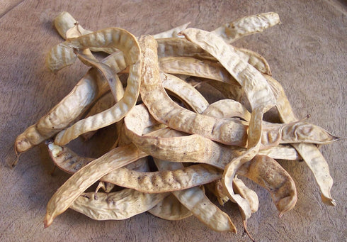 Casade Mesquite 44 oz alba) White Mesquite Bean Pulp Flour (Prosopis