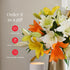 10 BloomsyBox Stem Multicolor Asiatic Lilies (Glass Vase Included) Fresh Flowers for Delivery Gift for Birthday