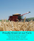 10 LBS Palouse Brand Certified Glyphosate Residue Free Soft White Wheat Berries | | Family Farmed in Washington State |