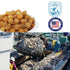 Scallop-8OZ) Grocery Gourmet Food Meat Seafood Dried Scallop Dried Sea Cucumber (Dried