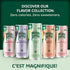 11.15 Oz 8 Count, 3 Pack Maison Perrier Forever Lime Flavored Sparkling Water, Fl Cans