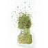 Packaged (8 Fruidles Whole Thyme Leaves, Non-GMO, Freshly in Resealable Bag Ounce)