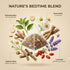 (15 Herblight Bedtime Tea with Valerian Root & Ashwagandha - Caffeine-Free Night Time Herbal Blend for Deep Relaxation