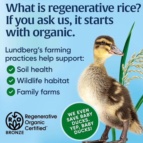32 Oz Lundberg White Basmati Rice, Regenerative Organic Certified Non-Sticky, Fluffy & Aromatic Long-Grain Rice