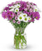 Benchmark Bouquets - Purple Daisies - Fresh Flowers for Delivery - Mothers