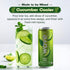 2x 12-Pack WAVE Sparkling Refreshers | Sparkling Juice | Organic Hydration | Low Calorie Drink | | White Tea Peach
