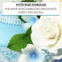 8 Count Global Sugar Art Aussie Rose White Sugar Cake Flower Large, by Chef Alan Tetreault