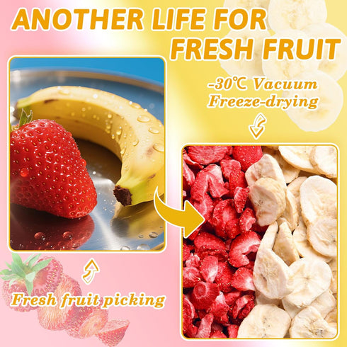 IMakArt Set 140g 100% Pack 7-0.71 oz Freeze Dried Fruit - Natural Fruit Snacks, Gluten Free, Sugar Free, Healthy Snacks