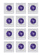 Yogurt Starter Cultures, Pack of 12 Freeze-dried Culture Sachets for Authentic Bulgarian Yogurt