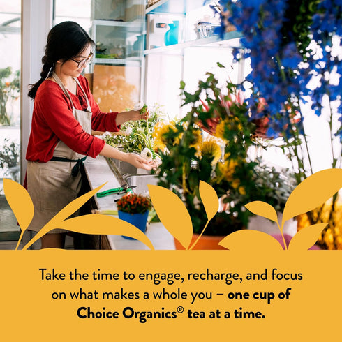 (1 Pack) 16 Choice Organics - Organic Mandarin Ginger Tea - Organic Herbal Tea - Tea Bags