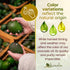 128 Oz (Pack 1) Kevala Avocado Oil Cold Pressed | NonGMO Project Verified & Kosher | Multipurpose for High Smoke Point