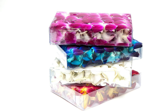 Collection by Tiffany (50 Fresh Dendrobium Orchid Heads Blooms Pieces/Box) - Blue Tinted Sonnia