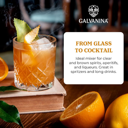 12 oz (6 Galvanina Clementine Premium Organic Italian Sparkling Soda, fl Glass Bottles) | Made with Organic