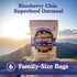 5g 4g 48 (6 Pack) Earnest Eats Superfood Oatmeal Blueberry Chia Cinnamon Vegan, Gluten Free, Plant Protein, Fiber, No