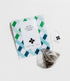 Art of Tea Organic White Coconut Crème, 12 Count Eco Friendly Sampler Box, Premium Caffeinated Variety