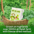 100% (20 2.1 oz) Pack 1 Freeze-Dried Kale Powder, Pure Juice, Nutritional Vegetable Supplement, for Skin, Smoothies