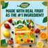 .8 oz (10 Gummies Heaven & Earth Fruit Snacks, Mixed Fruit, Pouches) | Real Fruit for Kids | School Safe, Natural