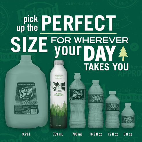 12 Pack- 25 oz Poland Spring Maine Spring Water Aluminum Bottle Crisp, Still Bottled Water with Naturally Occurring