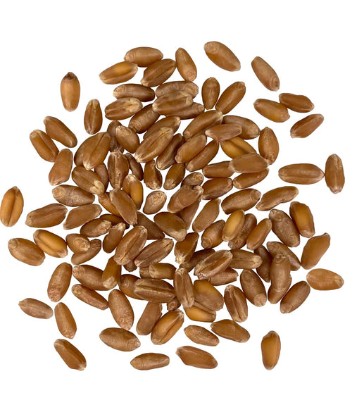 Palouse Brand Certified Glyphosate Residue Free Hard Red Winter Wheat Berries |