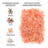 5 SaltWorks Ancient Ocean Himalayan Pink Salt, Fine Grain, Pound Bag