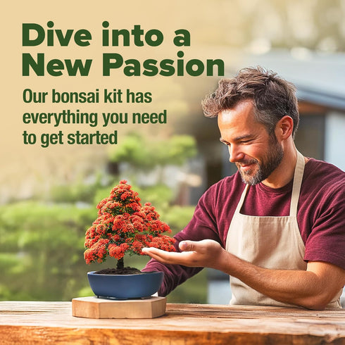 6 HOME GROWN Bonsai Tree Kit Heirloom Varieties with Unique Pots DIY Bonsai Starter Kit for Adults & Beginners