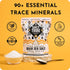 90+ 4 Salt Tribe | Baja Sea Salt | Mineral Rich | Trace Minerals | Fine Ground | Hydration Support | Sal Organica | Low