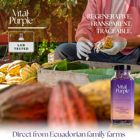 100% 900mg (10 oz) Vital Purple High Flavonal Raw Cocoa Energy Nibs Flavanols, Purple Cacao, Unroasted & Unfermented