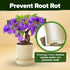 4 Bonsai Tree Kit Gifts for Men & Women - Grow Bonsai Trees - Unique Gardening Crafts for Adults, DIY Hobbies for Plant