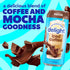 15 OZ 12 Count International Delight Iced Coffee, Mocha, Grab and Go Coffee Drinks Made with Real Milk and Cream, FL