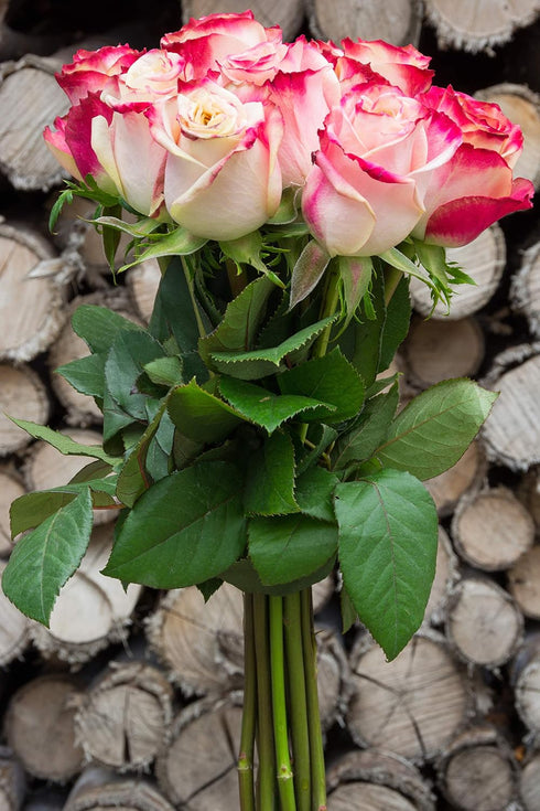 Flower Explosion 12 Stems - Fresh Cut Sweetness Pink and White Rose Bouquet from