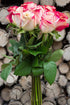 Flower Explosion 12 Stems - Fresh Cut Sweetness Pink and White Rose Bouquet from