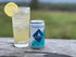 7.5oz, 24 Ginger Beer, Regatta Craft Mixers, Premium Ginger Beer, All-Natural Ingredients, Non-GMO, Case of Sleek Cans