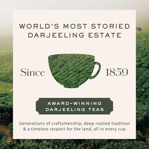 50 Makaibari Silver Tips Imperial Tin Caddy | Award Winning Organic Oolong Handmade Whole Leaf Tea | Grams