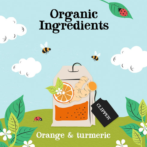 6 Pack, 120 Clipper Tea, Orange & Turmeric, Organic with Licorice Root, Orange Peel and Hibiscus, Plant Based Herbal