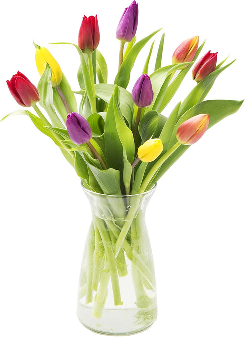 KaBloom - Assorted Tulip Bouquet from Holland (10 Stems) with Vase -