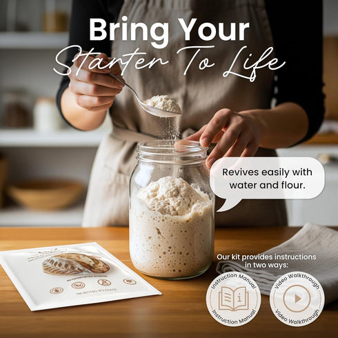 ERNEY 1 pack Dehydrated Organic Whole Wheat Sourdough Starter for Bread Making - Perfect Rise Organic Whole Wheat