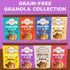 10 Oz (Pack 1) Paleonola Chocolate Fix Grain Free Granola, Resealable Bag of - Grainless Paleo Granola Blended w/Dried