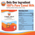 200g Dry Camel Milk Powder